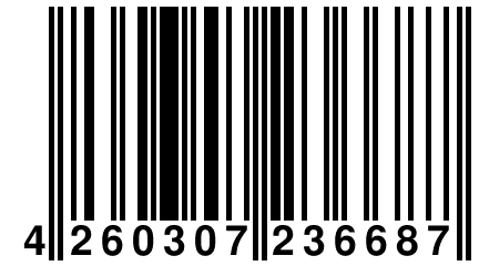 4 260307 236687