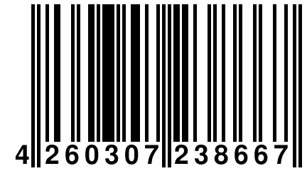 4 260307 238667