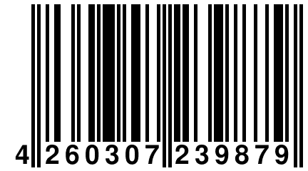 4 260307 239879