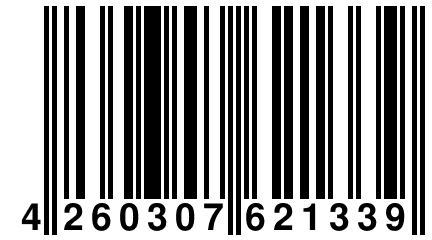 4 260307 621339