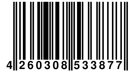 4 260308 533877