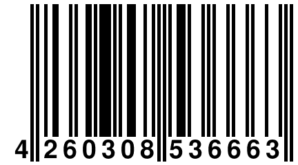 4 260308 536663