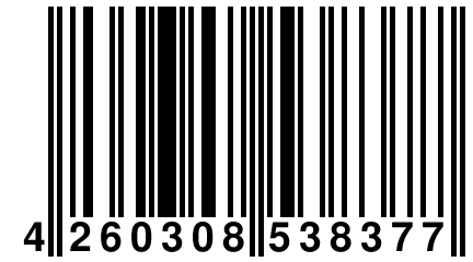 4 260308 538377