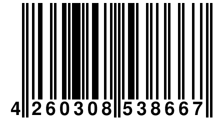 4 260308 538667