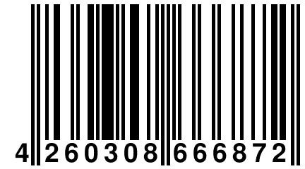 4 260308 666872