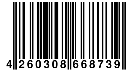 4 260308 668739