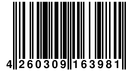 4 260309 163981