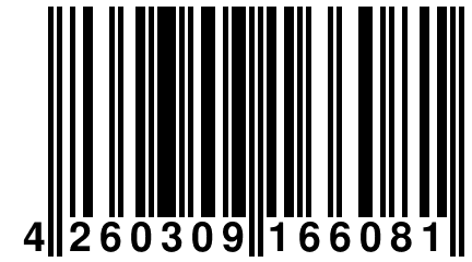 4 260309 166081