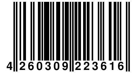 4 260309 223616