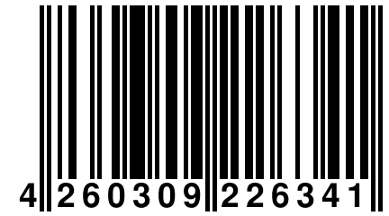 4 260309 226341