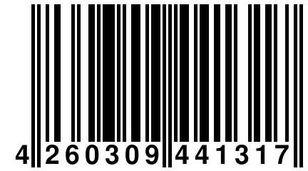 4 260309 441317