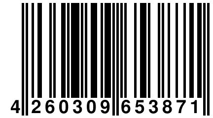 4 260309 653871