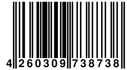 4 260309 738738