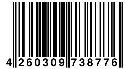 4 260309 738776