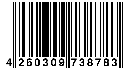 4 260309 738783