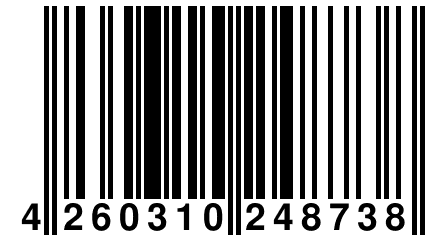 4 260310 248738