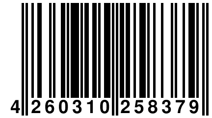 4 260310 258379