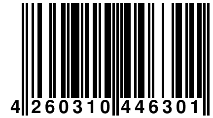 4 260310 446301