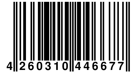 4 260310 446677