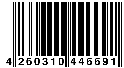 4 260310 446691