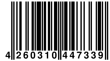 4 260310 447339