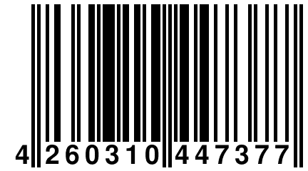 4 260310 447377