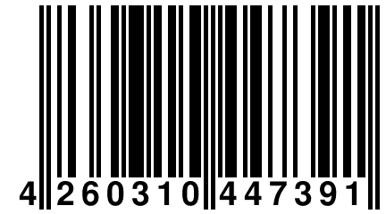 4 260310 447391