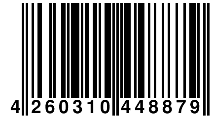 4 260310 448879