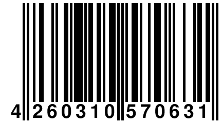 4 260310 570631