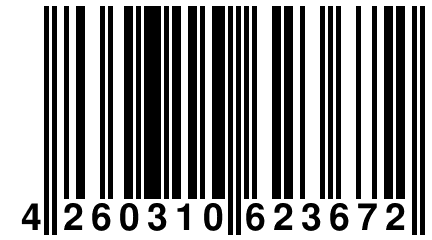 4 260310 623672