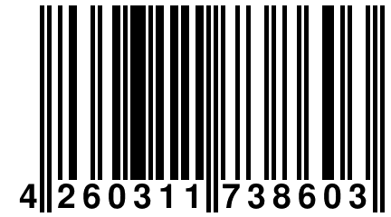 4 260311 738603