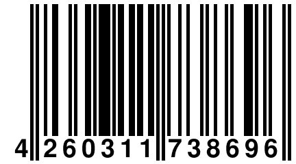 4 260311 738696