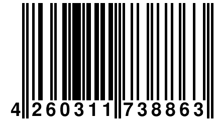 4 260311 738863