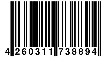 4 260311 738894