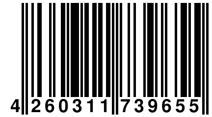 4 260311 739655