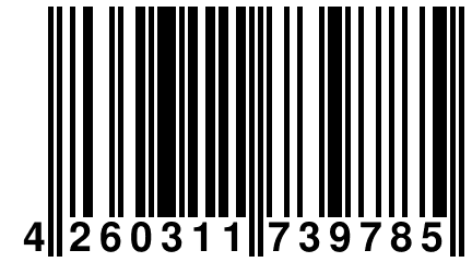 4 260311 739785