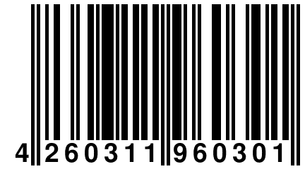 4 260311 960301