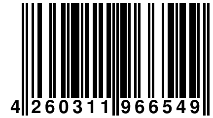 4 260311 966549