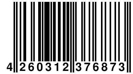 4 260312 376873