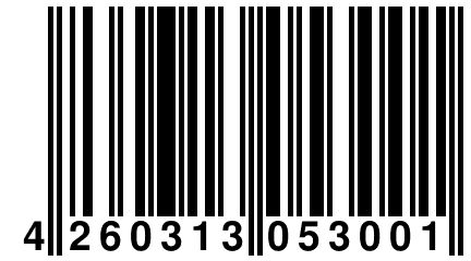 4 260313 053001