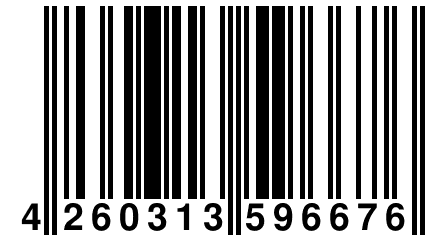 4 260313 596676