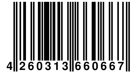 4 260313 660667