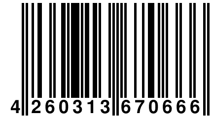 4 260313 670666