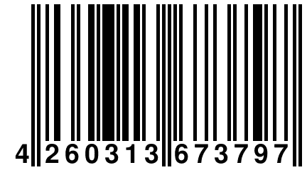 4 260313 673797