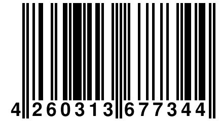 4 260313 677344