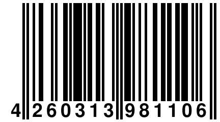 4 260313 981106