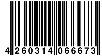 4 260314 066673