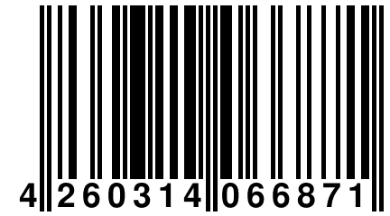 4 260314 066871