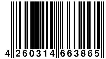 4 260314 663865