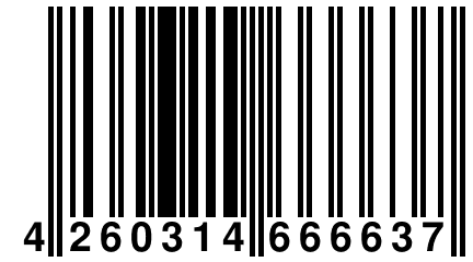 4 260314 666637